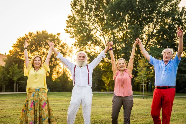 Group Youthful Seniors Having Fun Outdoors Four Pensioners Bonding Outdoors — Stock Photo, Image