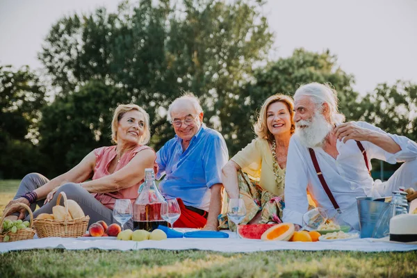 Gruppo Giovani Anziani Che Divertono All Aperto Quattro Pensionati Che — Foto Stock