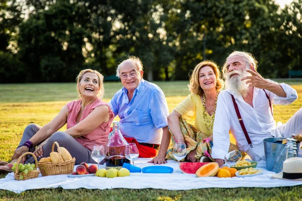 Gruppo Giovani Anziani Che Divertono All Aperto Quattro Pensionati Che — Foto Stock