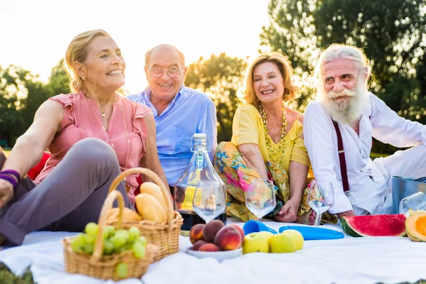 Gruppo Giovani Anziani Che Divertono All Aperto Quattro Pensionati Che — Foto Stock