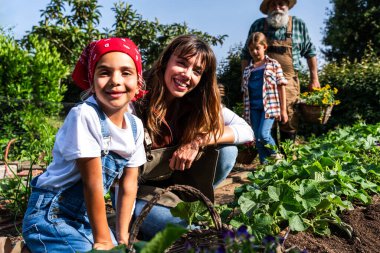 Mutlu anne ve kızlar, dedenle bahçelerinde güneşli organik çiftliklerde çiçek taşıyarak sürdürülebilir yaşam tarzının ve aile bağlarının tadını çıkarıyorlar.