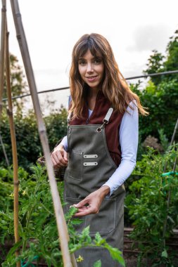 Genç kadın çiftçi, sürdürülebilir bir tarım çiftliğinde bambu desteğiyle büyüyen domates bitkilerinin sağlığını kontrol ederek, biyolojik ve çevre dostu uygulamaları teşvik ediyor.