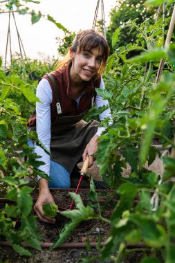 Sürdürülebilir bir çiftlikte bitkilerini yetiştirirken gülümseyen genç bir kadın çiftçi, toprağı işliyor ve sağlıklı büyüme ve canlı ekinleri teşvik etmek için otları dikkatlice temizliyor.