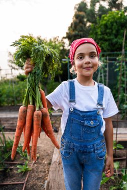 Çiftçi gibi giyinmiş genç bir kız canlı bir çiftlik bahçesinde taze toplanmış havuçları gururla sergiliyor sürdürülebilir tarım ve sağlıklı beslenme ruhunu somutlaştırıyor.