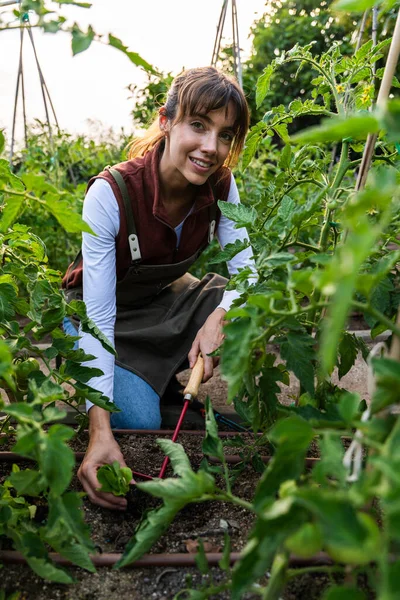 Sürdürülebilir bir çiftlikte bitkilerini yetiştirirken gülümseyen genç bir kadın çiftçi, toprağı işliyor ve sağlıklı büyüme ve canlı ekinleri teşvik etmek için otları dikkatlice temizliyor.