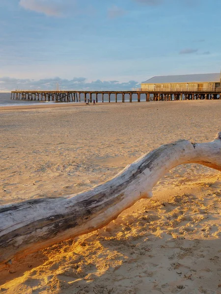 Kora Reggeli Fény Driftwood Log Claremont Pier Lowestoft — Stock Fotó