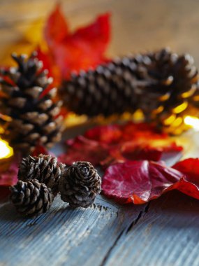 Firavun ağacı konileri ve kırmızı yapraklar kış temalı montajı kapatır