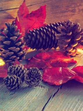 Firavun konileri ve kırmızı yapraklar kış temalı montaj süzgeci