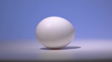 Beyaz bir tavuk yumurtası mavi arka planlı beyaz bir yüzey üzerinde döner..