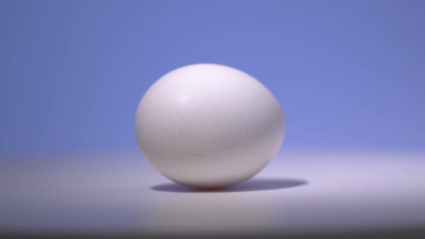 Un œuf de poulet blanc tourne sur une surface blanche avec un fond bleu . — Video