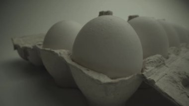 Makro yemek şat. Bir sürü beyaz yumurtalı hücre. Kamera onlara doğru hareket etsin. Laowa 24 'ten yakın çekim