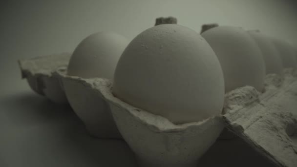 Macro food shot. Célula com muitos ovos brancos. Câmara mova-se para eles. Close up tiro de Laowa 24 — Vídeo de Stock