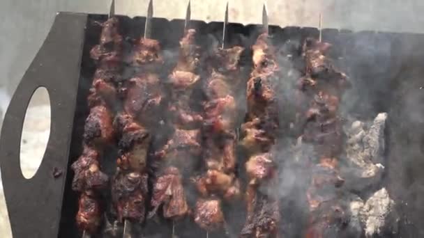 Kebab savoureux et juteux est frit sur le gril. Camping le jour de congé. Panorama . — Video