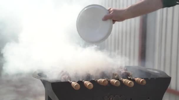 Cocinar kebab en la naturaleza en fin de semana . — Vídeos de Stock