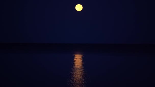 La pleine lune jaune est suspendue sur une mer calme. Les mouettes volent les unes après les autres au-dessus de la mer à côté de la caméra. — Video