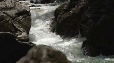 Nehirdeki güçlü su akıntısı. Orman. Taşlar. Doğa. Macera videosu için güzel