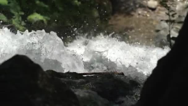 Πολλές σταγόνες του νερού πέφτουν από το βράχο στο άγριο ποτάμι στη μέση του δάσους. Κοντινό πλάνο — Αρχείο Βίντεο