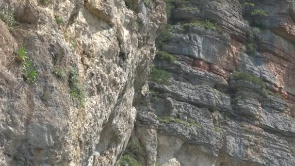 Enormi scogliere verticali su un'alta montagna. Paradiso degli scalatori. vista incredibile — Video Stock