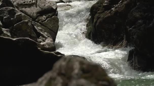 Panorama vertical lent jusqu'à la rivière. Rivière du vent dans la forêt. l'eau coule à travers les pierres. Jour d'été. — Video