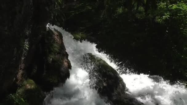 Strömmen av vattnet rör sig ner och träffar klippan. Skog. Sommar. Vattenfall — Stockvideo