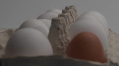 Yumurtalar hücrede. Bir yumurta diğerinden farklı renktedir. Makro çekime odaklan. Pişirmeden önce. Laowa 24 makro