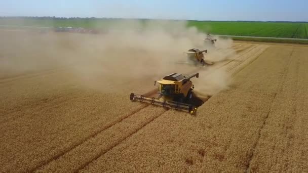 Stavropol, Ryssland - 15 juli 2020: Skördemaskin för att skörda vetefält. Kombinera skördare jordbruk maskin skörda gyllene mogna vetefält. Ett fält efter en skörd. — Stockvideo
