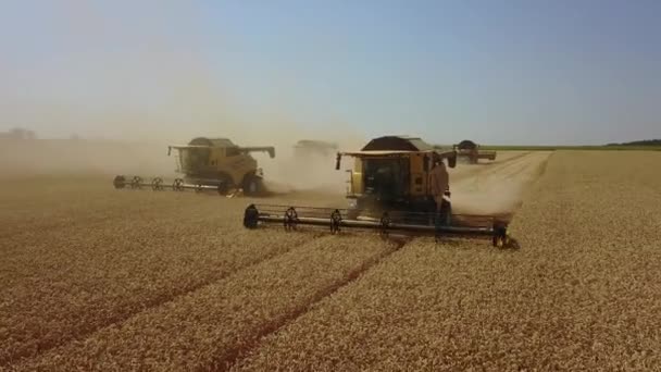 Stavropol, RUSSIE - 15 JUILLET 2020 : Machine de récolte pour récolter les champs de blé. Combiner moissonneuse-batteuse agricole récolte champ de blé mûr doré. Agriculture Vue aérienne — Video