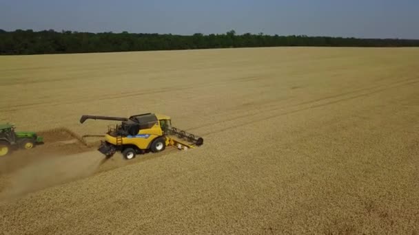 Stavropol,ロシア- 2020年7月15日:小麦畑で働く収穫機のトップダウンビュー。黄金の熟したコムギ畑を収穫する農業機械を組み合わせる. — ストック動画