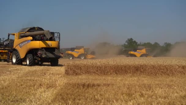 小麦分野で働く収穫機のトップダウンビュー。黄金の熟したコムギ畑を収穫する農業機械を組み合わせる. — ストック動画