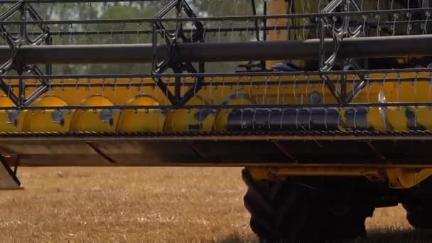 Stavropol, RUSIA - 15 de julio de 2020: Close-up Cosechadora moderna recoge el trigo maduro dejando atrás una nube de polvo en un campo de trigo. Combinar el movimiento al campo para comenzar a recoger la cosecha — Vídeos de Stock