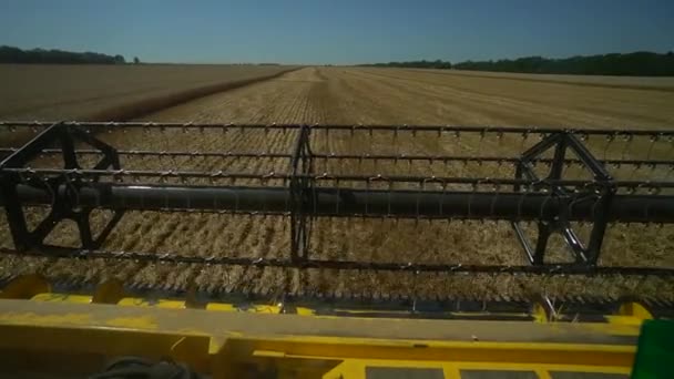 結合部のタクシーからの眺め。晴れた夏の日に畑で小麦を収穫します。黄色のハトベスター — ストック動画
