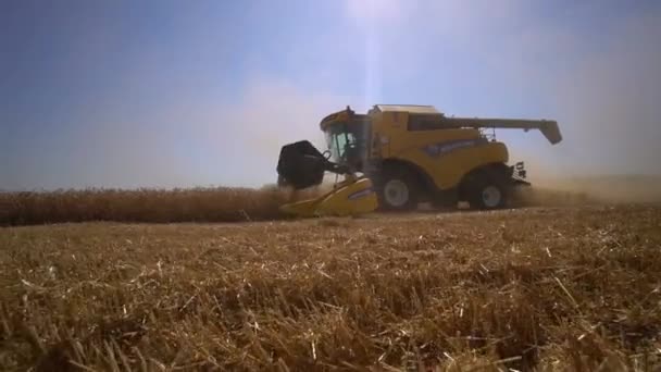 Stavropol, RUSLAND - JULI 15 2020: Combineer oogstmachine in actie op tarweveld. Combineer oogst rijpe gouden tarwe op het veld. Het imago van de landbouwsector — Stockvideo