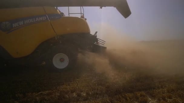 Stavropol,ロシア- 2020年7月15日:小麦を採集する畑の収穫者。結合部のタクシーからの眺め。加工された小麦がカメラに飛び込みます。スローモーション。農業 — ストック動画