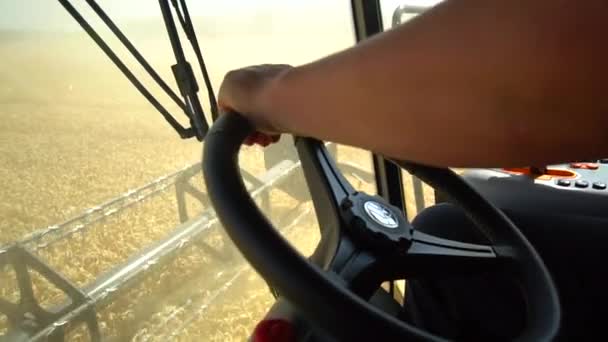 斯塔夫罗波尔, RUSSIA - 2020年7月15日:内景联合收割机收获小麦慢动作.农业。农民驾驶组合。黄金wgeat 。夏日晴天 — 图库视频影像