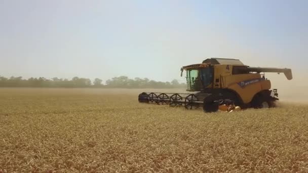 Stavropol, RÚSSIA - JULHO 15 2020: Colheitadeira moderna em ação. Desenvolver o agronegócio passo a passo. Colheitadeira faz colheita de trigo no campo — Vídeo de Stock