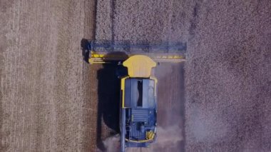 Stavropol, RUSSIA - 15 Temmuz 2020: Olgunlaşmış buğday hasatçı tarafından toplanıyor. Buğday tarlasında çalışan modern biçerdöver. Tarım. Tahıl hasadı: buğday, arpa, çavdar. Buradan görüntüle