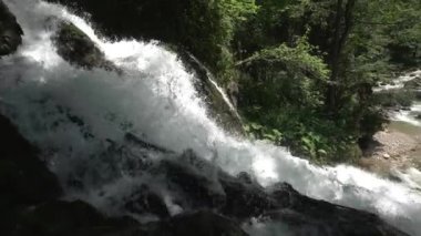 Orman şelalesi havuzu manzarası. Orman manzaralı kayalarla çevrili bir şelale. Orman şelalesi. Güçlü bir su akıntısı. Yavaş panorama. Ormandaki nehir. Yaz günü