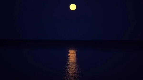 Gelber Vollmond hängt an einer ruhigen See. Möwen fliegen neben der Kamera hintereinander über das Meer Stockbild