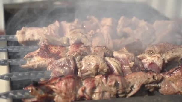 Apetitivos trozos de barbacoa a la parrilla en carbón 4k Filmación — Vídeos de Stock