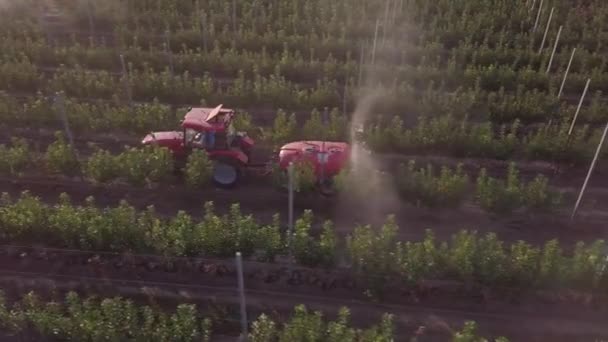 Apple Orchard 에서 Fungicides 를 적용하기 위한 Sprayer 의 공중 촬영. 빨간 트랙터. 여름날, 드론 샷. — 비디오