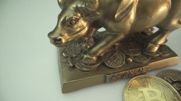 Bitcoin és szimbólum 2021 éves fém bika. Arany érme és arany szobor. Kriptovaluta, virtuális pénz és blockchain tachnológiai termelés. Fehér felület. Érmék és bika forgása — Stock videók