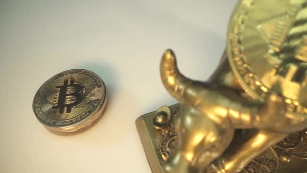 Oro toro de metal como símbolo de 2021 años y muchas monedas criptográficas digitales Bitcoin en la superficie blanca. Macho puso un bitcoin de oro más BTC. Panorama lento. tecnología blockchain. Dinero digital — Vídeos de Stock
