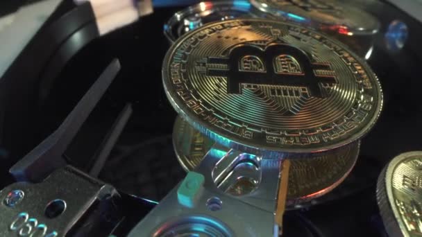 Guld krypto mynt Bitcoin rotera på hårddisken i makro skott. Många digitala mynt med grönt och neonljus. HDD spindel på nära håll.Gruvdrift. Bytes. Digital teknik — Stockvideo