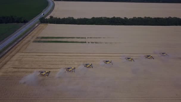 Tarweoogst in de zomer. 8 gele oogstmachines werken in het veld. Luchtzicht — Stockvideo