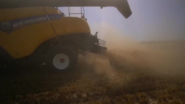 フィールドに小麦を収集する上で収穫。結合部のタクシーからの眺め。加工された小麦がカメラに飛び込みます。スローモーション。農業 — ストック動画