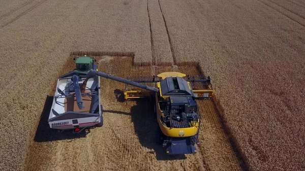 Снимок с воздуха, как комбайн загружает кукурузу в прицепы. Аэросъемка современного комбайна, загружающего кукурузу в тракторные прицепы. Концепция: Трактор, Жатва, Дрон, Эко — стоковое фото