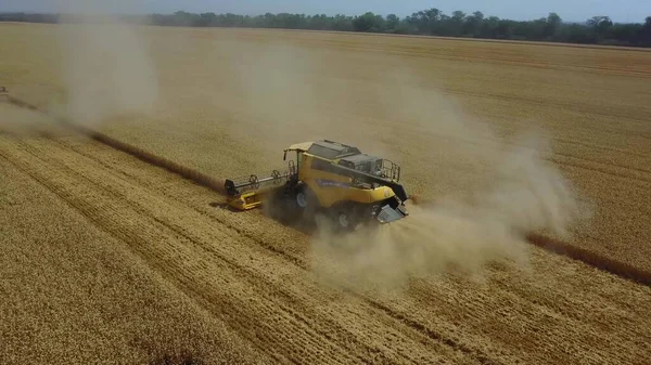 Nahaufnahme Luftaufnahme 4k Auflösung Moderne Mähdrescher sammelt reifen Weizen und hinterlässt eine Staubwolke auf einem Weizenfeld. Blick von oben — Stockfoto