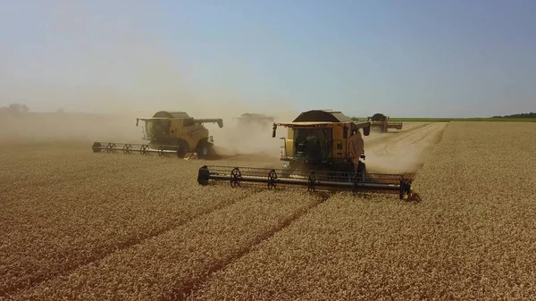 Colheitadeira máquina para colher o trabalho do campo de trigo. Combine colheitadeira agricultura máquina de colheita campo de trigo maduro dourado. Agricultura vista aérea — Fotografia de Stock