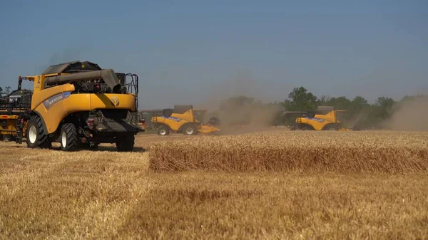 Вид сверху на машины Харвестера, работающие на пшеничном поле. Сельскохозяйственная машина для сбора пшеницы. — стоковое фото