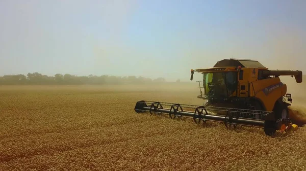 Комбайновый комбайн собирает спелую золотую пшеницу на поле. Образ сельскохозяйственной отрасли — стоковое фото